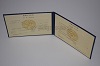 Стоимость диплома техникума УзбекАССР 1975-1991 г. в Артёмовске (Красноярский Край)