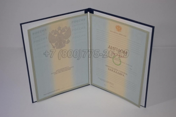 Диплом Бакалавра 2004г в Красноярске